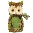 thumbnail image 2 of Northlight Spring Floral Owl Standing Figurine - 8.5" - Green, 2 of 6