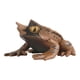 thumbnail image 2 of Figurita de rana de simulación, herramientas de aprendizaje, modelo Animal, adorno de juguete para accesorios de fotografía, adornos para pasteles de 35 cm x 6 cm x 6 cm, 2 of 10