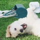 thumbnail image 3 of Recogedor de excrementos plegable con mango largo para perros, fácil de recoger, recogedor de heces de animales, 3 of 6