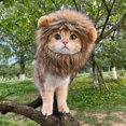 thumbnail image 2 of Mosey Cute Lion Style Dog Cat Hat Super Soft Breathable Friendly to Skin Lightweight Novelty Pet Hat Headwear Photography Prop, 2 of 7