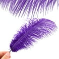 thumbnail image 5 of 10 Pack Natural Ostrich Feathers, 10-12 in (25-30 cm) Crafts DIY Plume Feather for Centerpieces Home Wedding Party Table Decoration - Purple, 5 of 7