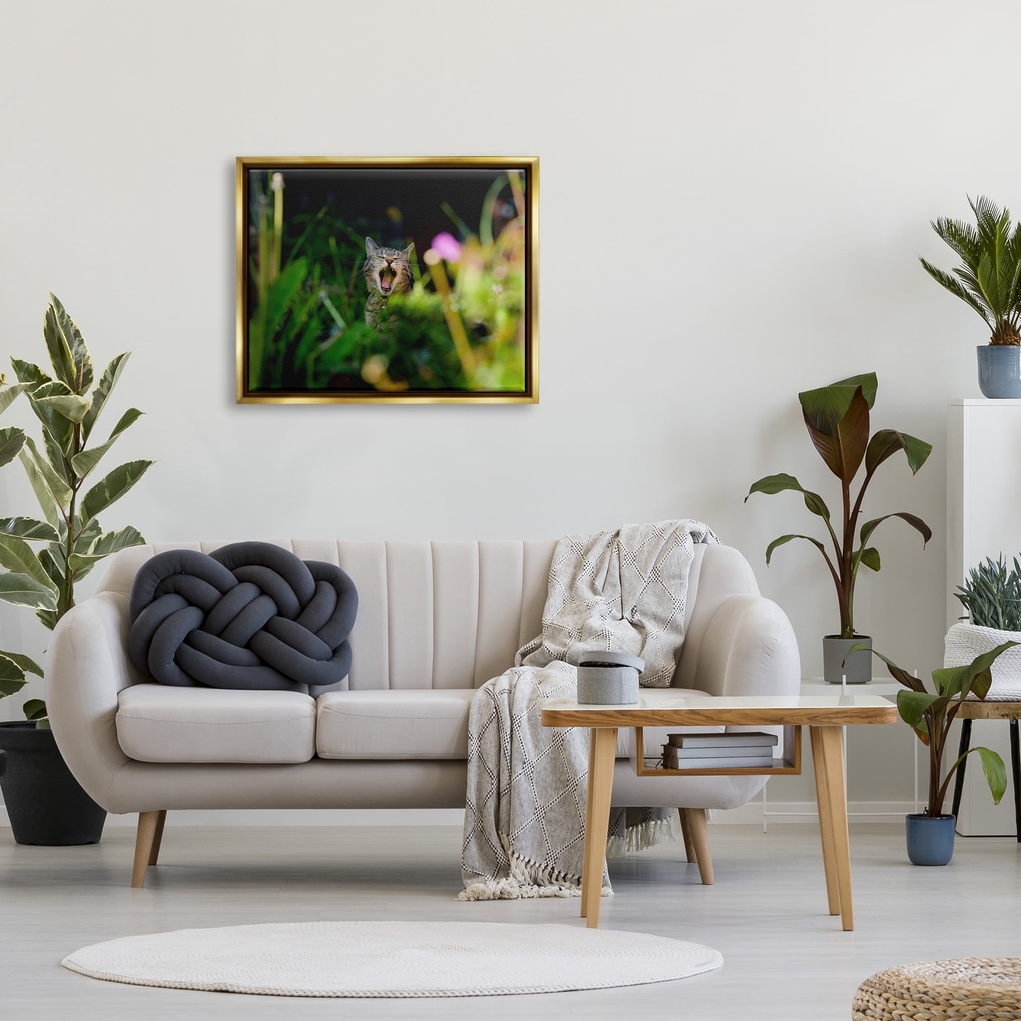 Stupell Industries Yawning Cat in Grass Animals & Insects Photography Gold Floater Framed Canvas Art Print Wall Art, 31 x 25