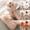 Beige, variant on Home Slippers Women Memory Foam Arch Support Wide Widths Winter Warm Lined Non- Embroidery Fuzzy Plush House Shoes for Women Indoor Outdoor Great Gift for Her