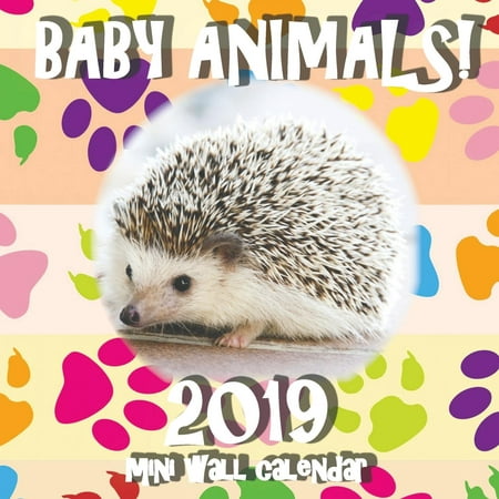 Baby Animals! 2019 Mini Wall Calendar (Paperback) (The Best Animes Of 2019)