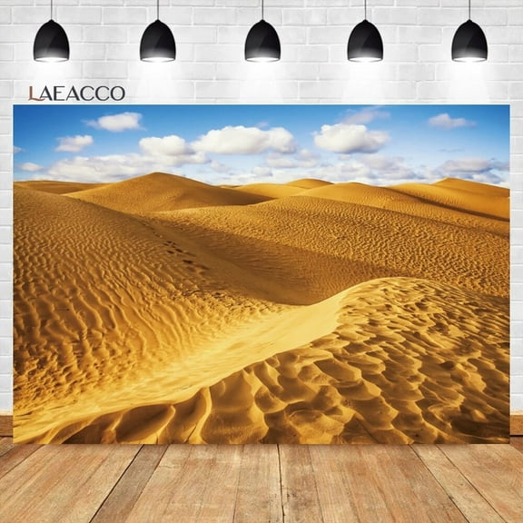 Desert Sand Dune Backdrop Wild West Blue Sky Landscape Mysterious Birthday Party Adult Portrait Photography Background