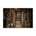 thumbnail image 2 of Gango Home Decor Preah Khan IV by Erin Berzel (Printed on Paper); One 36x24in Fine Art Paper Giclee Print, 2 of 4