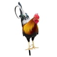 thumbnail image 1 of koolsoo Statue d'Animal en Acrylique Décoration de Sol de Pâques Poule Décorative, 1 of 9