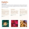 thumbnail image 4 of NAD+ 200 capsulas 1300mg ETERNAL NUTRITION con Trimethylglycine y Acido Alpha Lipoico, 4 of 8