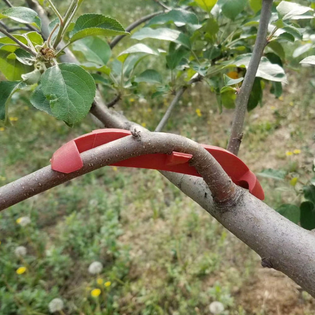 Details about   Fruit Tree Branch Trunk Bender Tree Bending Modelling Tool Gardening Accessor HG 