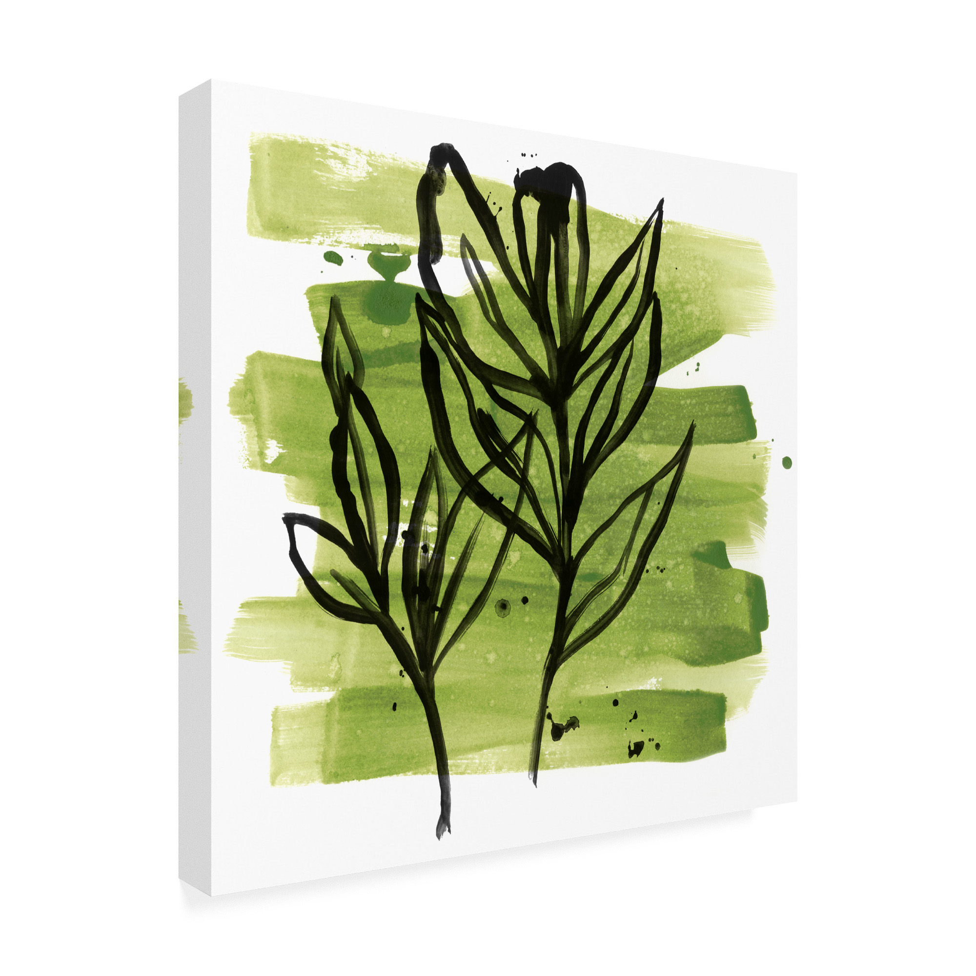 Trademark Fine Art 'Tropical Sumi e VI' Canvas Art by June Erica Vess