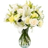 Bright Light by Arabella Bouquets with Free Hand-Blown Glass Vase (Fresh-Cut Flowers White)