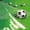 BrightGreen WhiteBlack, variant on Manfei Soccer Sport Zipper Twin Comforter Sets with Fitted Sheet and 2 Pillowcases, Football Zipper Bedding Set, Green White Gold
