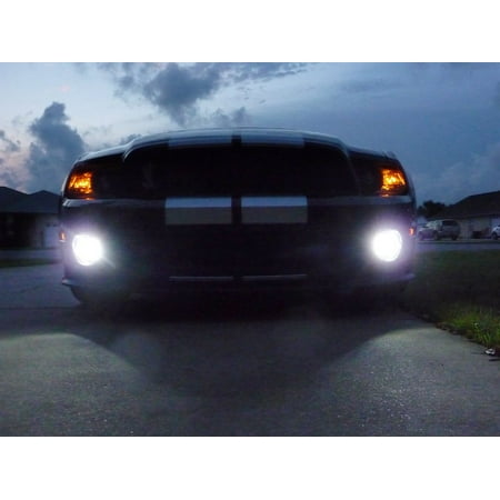 Shelby Gt500 Lamp - 2005-2012 Ford Mustang Shelby GT500 Halo Fog Lamps Kit