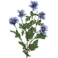 thumbnail image 3 of Northlight Artificial Floral Cosmos Sprays- 33" - Blue - Set of 6, 3 of 7