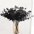 thumbnail image 3 of Artificial Eucalyptus 20 Branches Dried Eucalyptus Stems for Flower Arrangements Black, 3 of 5