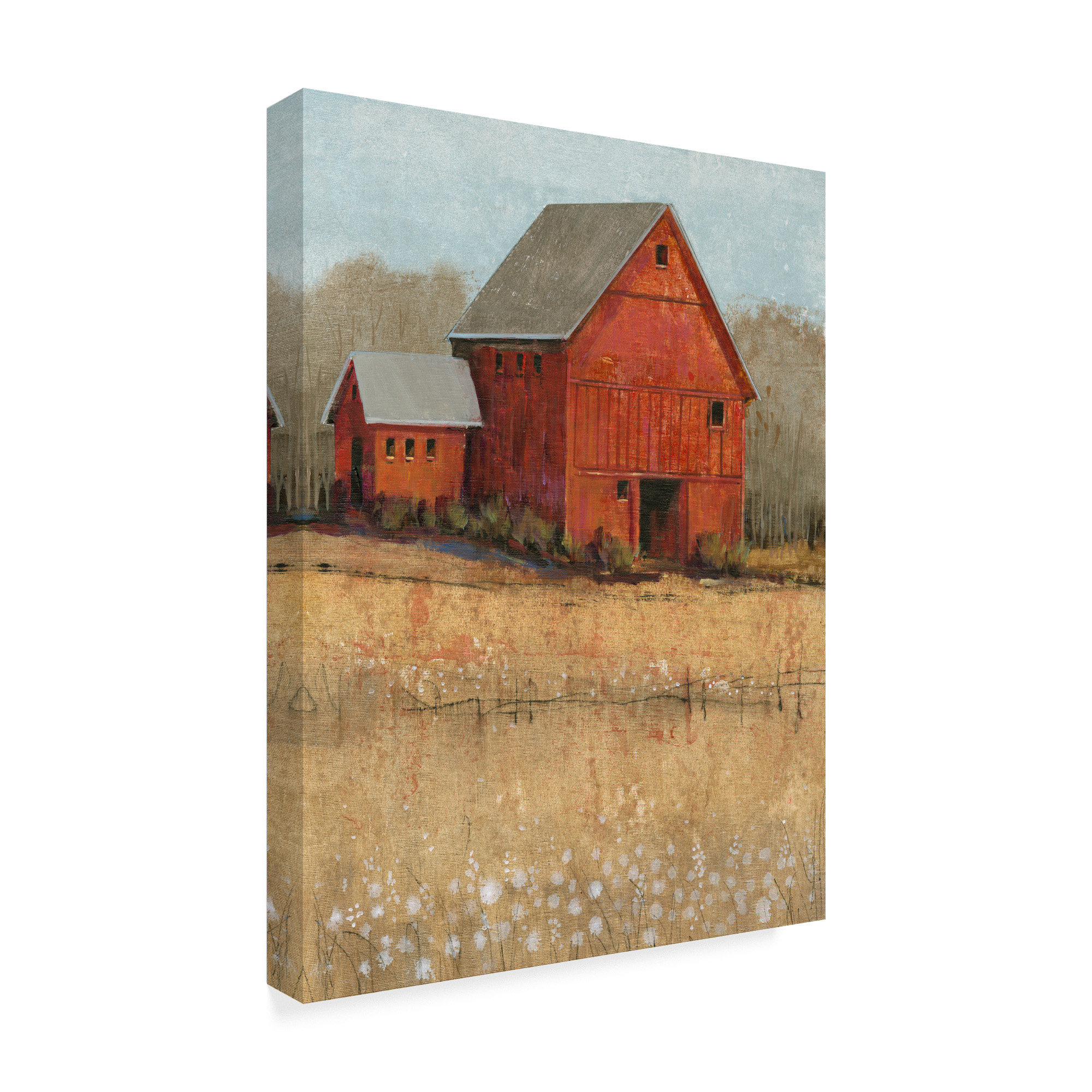 Trademark Fine Art 'Red Barn View II' Canvas Art by Tim OToole