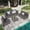 Dk Gray&Dk Gray, variant on 7 Pieces Outdoor Patio Furniture Set, Wicker Sectional Sofa Set Rattan Modular Patio Conversation Sets with Cushions Couch Set & Coffee Table for Outside,Garden,Balcony,Porch