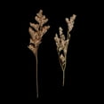 thumbnail image 3 of 20 Piezas naturales de Limonium Gloria Flores secas prensadas, 3 of 9