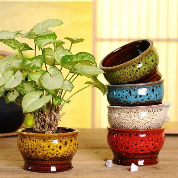 IDEANATEGRATE Yellow Round Succulent Pots with Simple Look Design 5Pcs