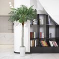thumbnail image 3 of BALANBO 7ft Artificial Phoenix Palm Tree, Faux Coconut Silk Palm Tree with Fruit , Black Plastic Pot, 3 of 6