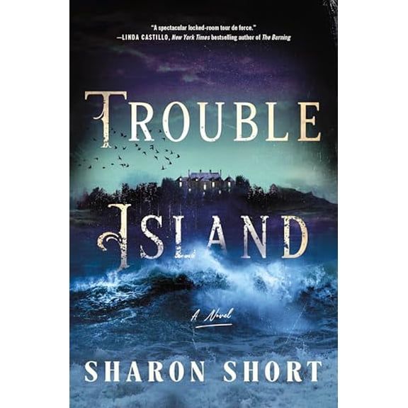 Pre-Owned Trouble Island (Hardcover) 1250292840 9781250292841