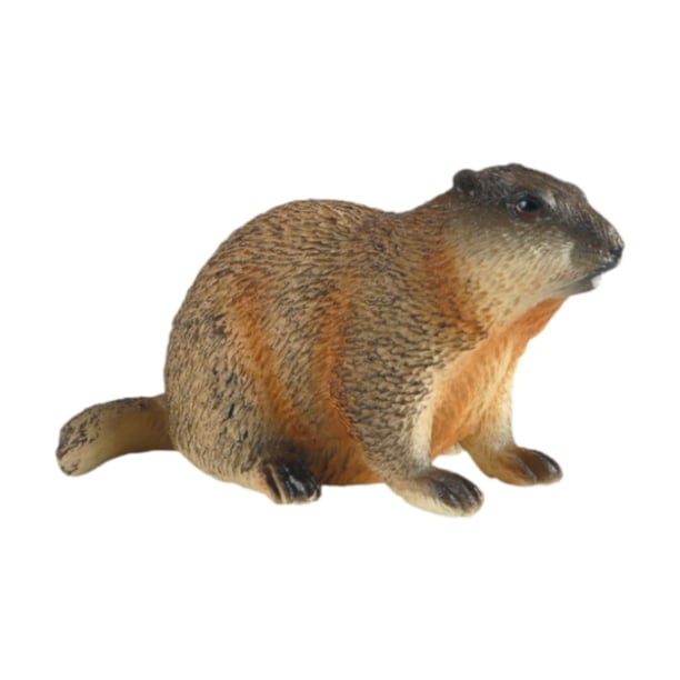 Modelo de Marmota Figura de Juego de Animales Modelo de Juego Realista para El Hogar Artesanía de Educativas Tempranas para Niños Niñas Niñas agacharse