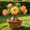 A, variant on Rare Desert Rose —(Non-Artificial)--10 color options-- Low-Maintenance — Perennial Garden Favorites — An Ideal Choice