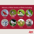 thumbnail image 4 of Wild Bird Seed Lyric Frutas y frutos secos con alto contenido energético, 4,54 kg x 2, 4 of 8