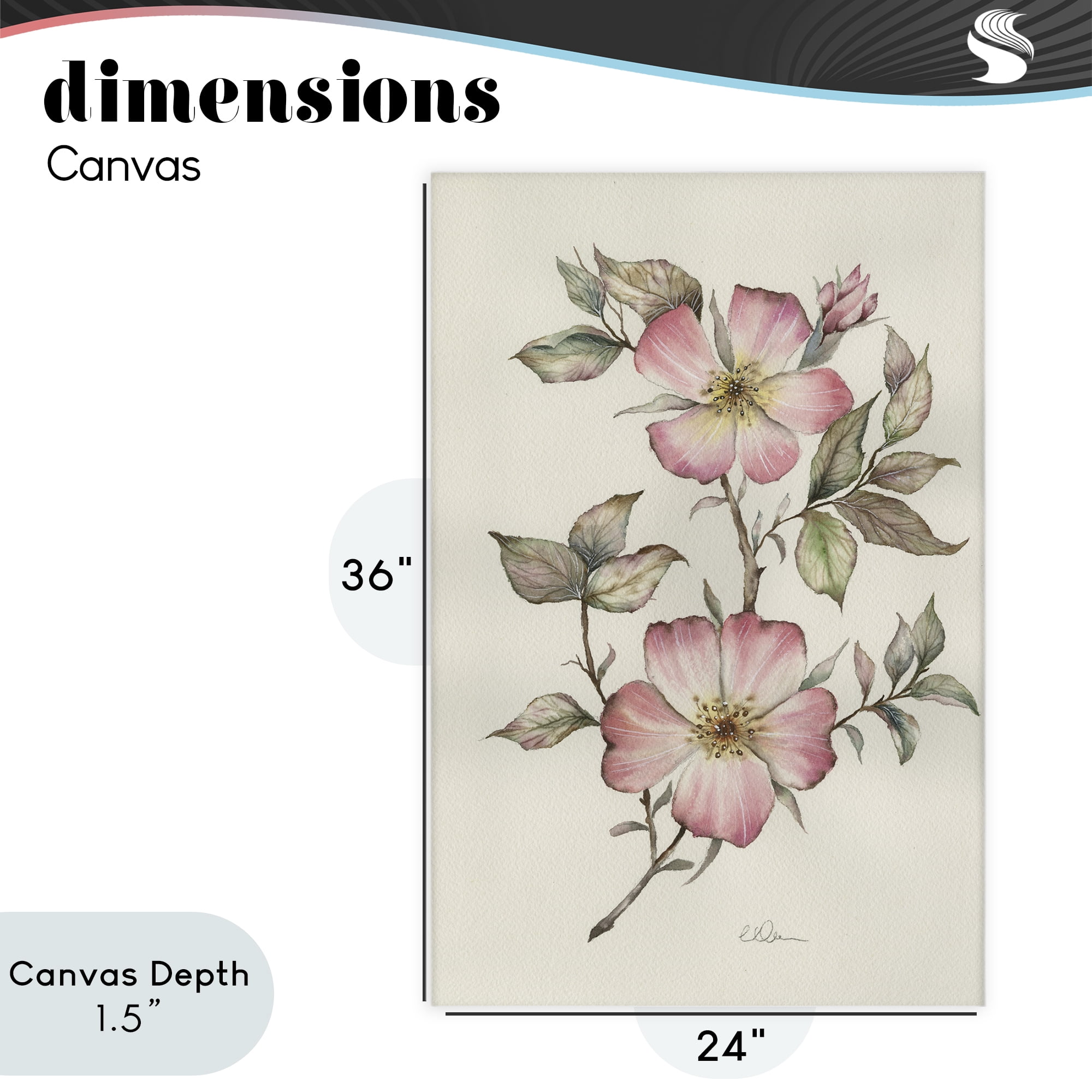 Stupell Industries Two Flowers Natural Study Canvas Wall Art, design by Cady Driver