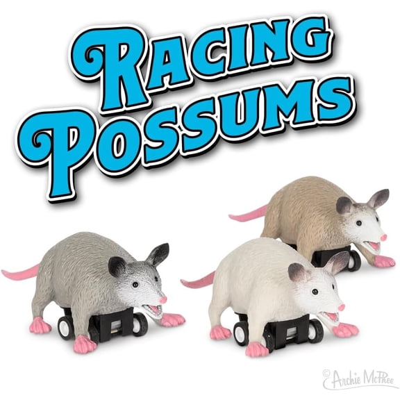 Racing Possums 3 Piece Set