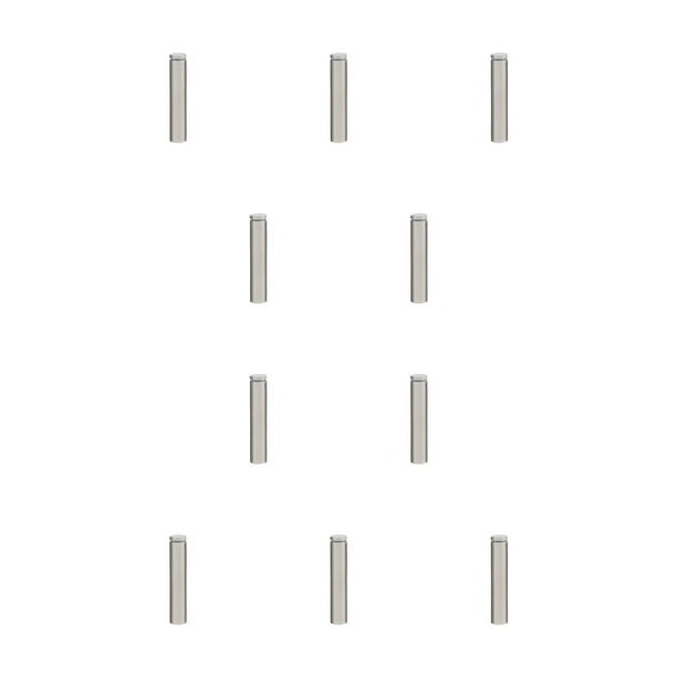 Riwesomey Tornillo de publicidad Separador Instalación fácil Espejo de vidrio Tuerca de clavo Perno Soporte para colgar en la pared Capacidad de carga 19x150mm 10piezas Riwesomey CBP349918