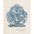 thumbnail image 3 of Wang, Melissa 12x14 Black Modern Framed Museum Art Print Titled - Sea Coral Study II, 3 of 5