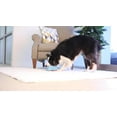thumbnail image 3 of Chuckit! Indoor Super Slider Self Fetch Rubber Squeaker Dog Toy, Glides on Most Indoor Surfaces, 3 of 7