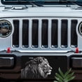 thumbnail image 5 of License Plate, Monochrome Lion Decorative Front,Personalized Stainless Steel License Plate Cover For Men Women,12.2" X 6.2", 5 of 6