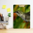 thumbnail image 6 of FMSHPON Humming Bird Clipboard Hardboard Wood Nursing Clip Board and Pull for Standard A4 Letter 13x9 inches, 6 of 7