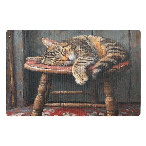 BZSMCE Floor Mats 32x20in Sleeping Cat Creativity Doormats