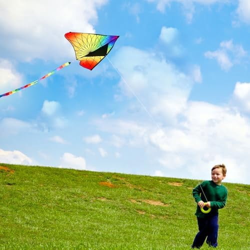 Large Delta Kite for Kids & Adults,Extremely Easy to Fly Kite for Beach Trip,String Line Included,with Colorful Tail,Perfect for Beginners Flower
