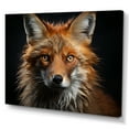 thumbnail image 2 of Designart "Photogenic Fox Portrait" Animals Canvas Print, 2 of 5