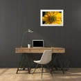 thumbnail image 3 of Engelbrecht, Lisa S. 32x23 White Modern Wood Framed Museum Art Print Titled - Yellow Coneflower, 3 of 4