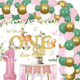 Boho Summer Daisy 1st Birthday Party Decorations, Pink Isn't She Lovely  Isn't She Onederful Daisy Rainbow Banner Cake Cupcake Toppers Balloon for  Girl Hippie One Year Old First Birthday Party Supplies 