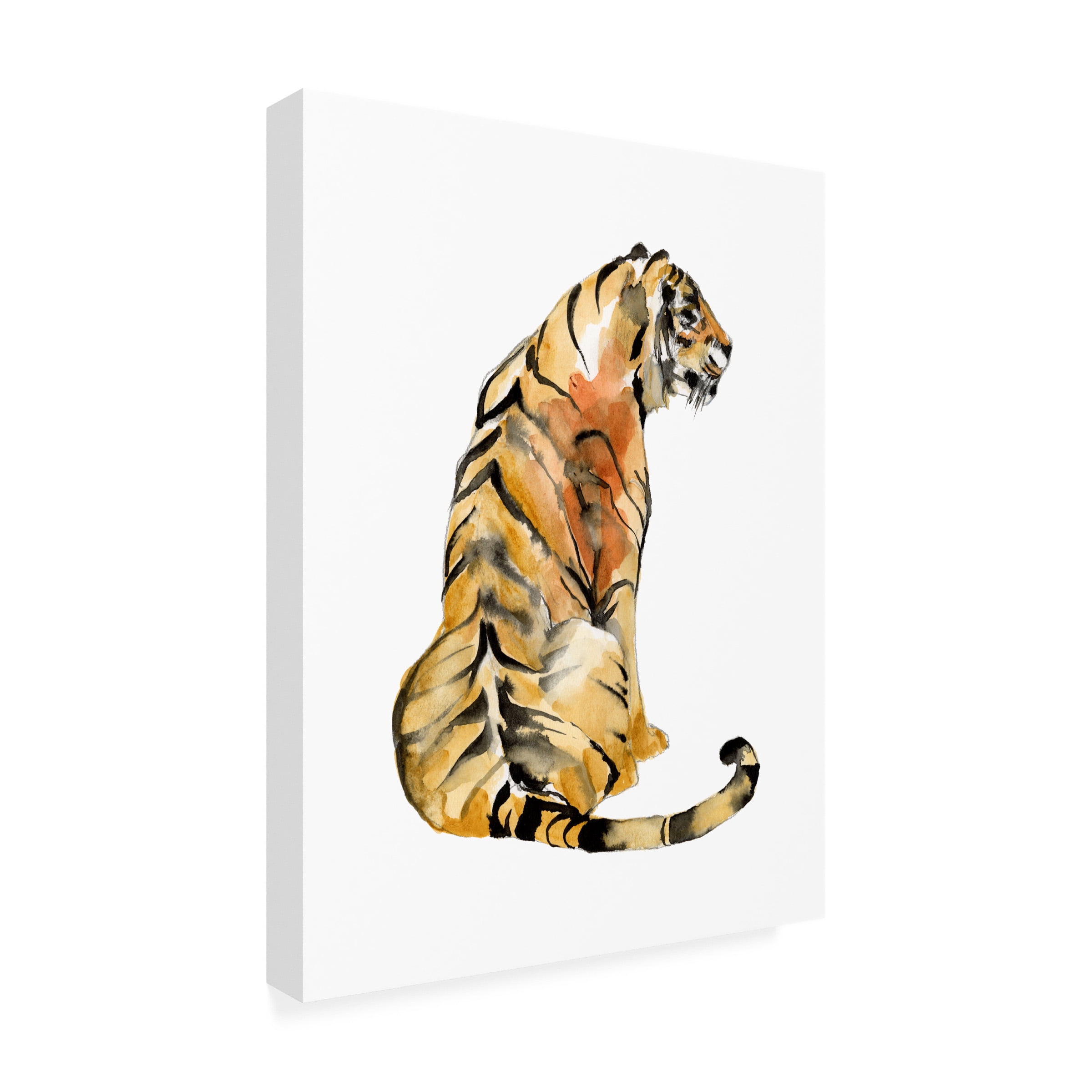 Jennifer Goldberger 'Sitting Tiger I' Canvas Art