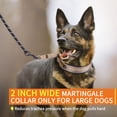 thumbnail image 3 of Collar Martingale Mayerzon para Perros Grandes y Medianos, 5 cm de Ancho, 3 of 8
