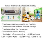 RC Soccer Robots