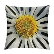 PRATYUS Decorative Throw Pillow Covers Square Pillow Covers for Sofa Daisy Flower Double Sided Throw Pillow Cases Soft Plush Decorative Cushion Cover for Living Room