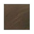thumbnail image 2 of Whitehaus Whfh3-H4131 Forever Hot Faucet Hot Water Dispenser Single Handle, 2 of 2