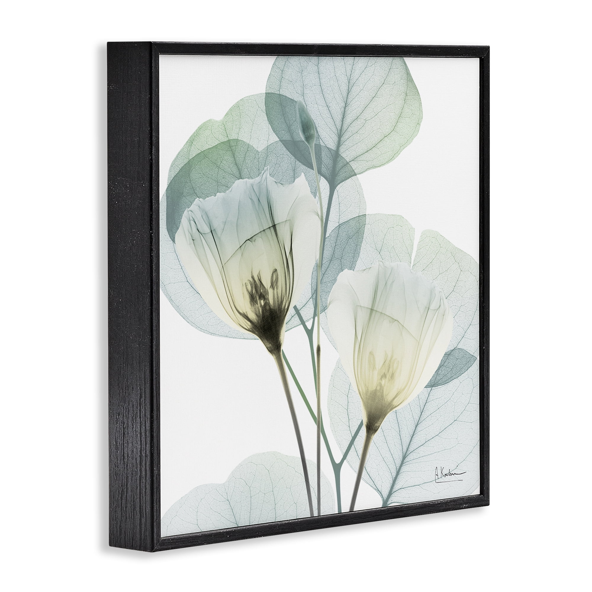 Stupell Industries Divine Fate Flower Leaves Black Framed Giclee Art, design by Albert Koetsier