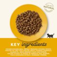 thumbnail image 5 of Applaws Natural Complete Kitten Chicken Cat Food 2kg, 5 of 5