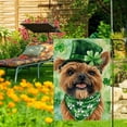 thumbnail image 4 of St Patricks Day Brussels-Griffon Garden Flags for Outside 12x18 Inch Double Sided, Pet Me I''m Irish Small Yard Decoration Farmhouse Holiday Outdoor(14151), 4 of 6