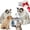 Basic, variant on Pawira Cat Fountain, Pawira Water Fountain for Cats, 108oz Stainless Steel, 4-Stage Filtration, Quiet Pump, Large Capacity, Easy Clean for Cats and Large Medium Small Breed Dogs Pets