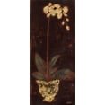 thumbnail image 2 of Wyatt Jr., Norman 8x14 Gold Ornate Wood Framed with Double Matting Museum Art Print Titled - Gilded Orchid I, 2 of 4